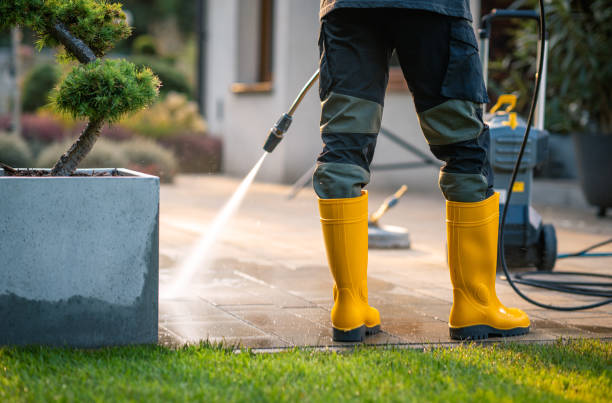 Best House Pressure Washing  in Cao, ND